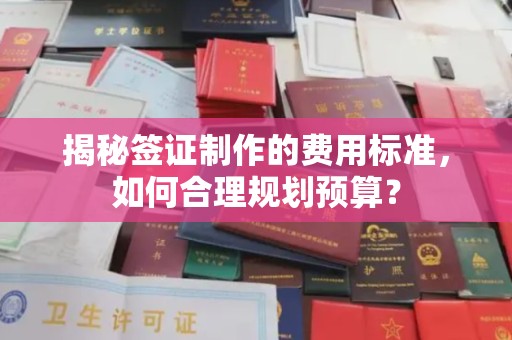 海门揭秘签证制作的费用标准，如何合理规划预算？