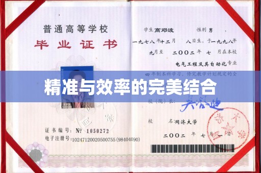 海门精准与效率的完美结合